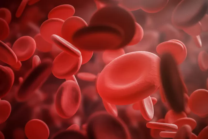 tipos de leucemia